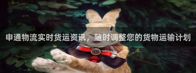 tp钱包 ios：申通物流实时货运资