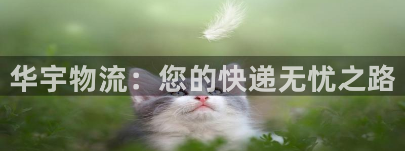 tp钱包账号登陆