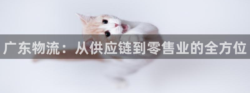 tp钱包官网下载最新2023通用：广