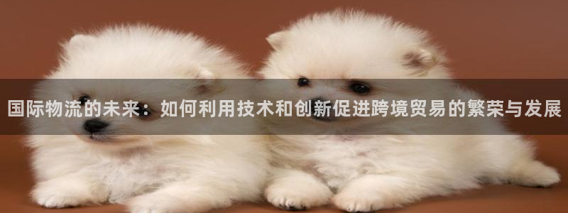 TP钱包打不开了怎么弄：国际物流的未