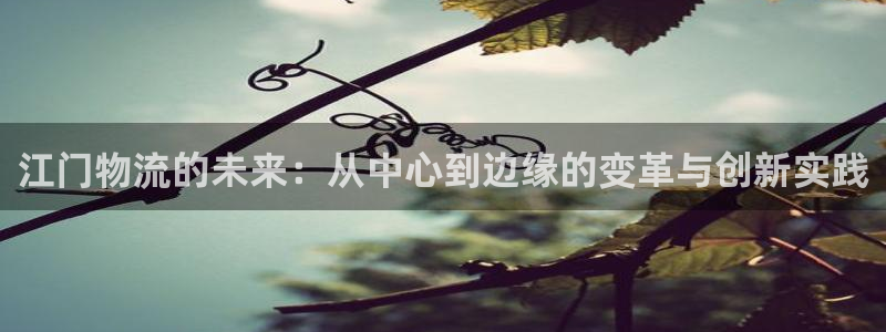 tplogincn官：江门物流的未来：从中心到边缘的变革与创