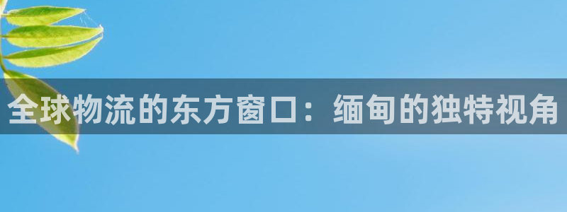 tp钱包如何删除交易记录：全球物流的