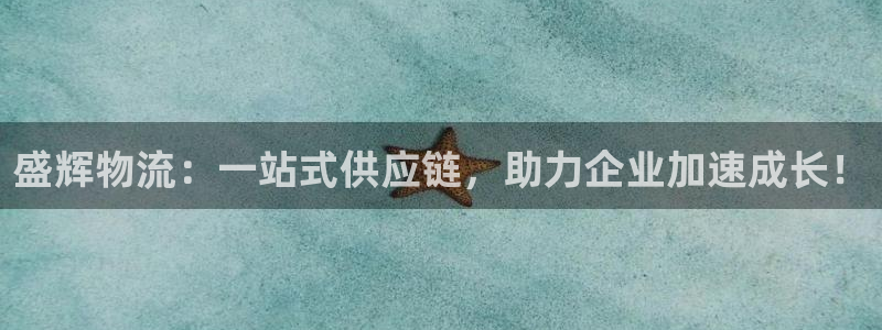 tp钱包已满额：盛辉物流：一站式供应