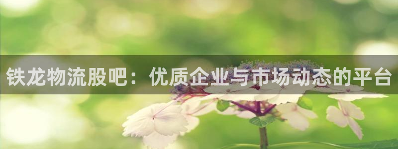 TP钱包怎么用了：铁龙物流股吧：优质