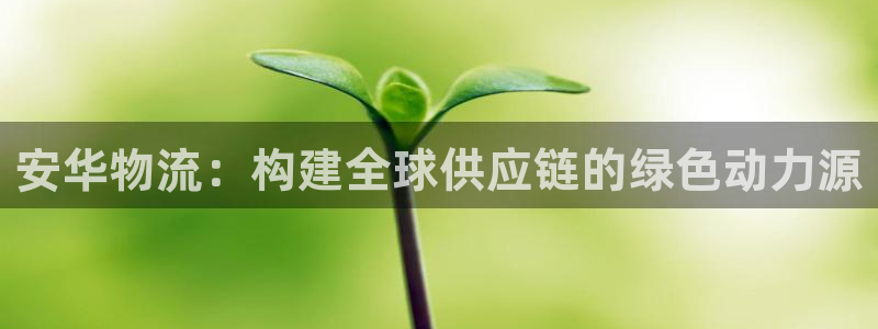TP钱包官网维护：安华物流：构建全球