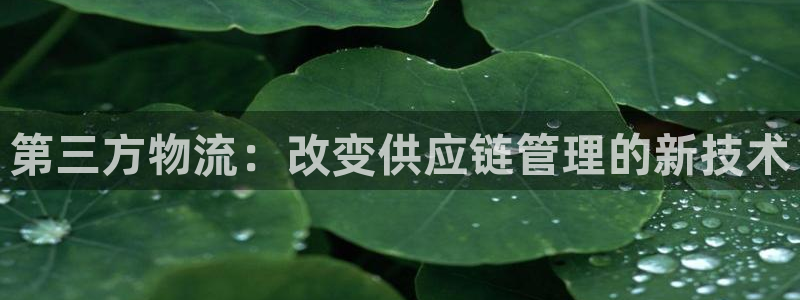 TP钱包突然多了新增资产什么情况：第