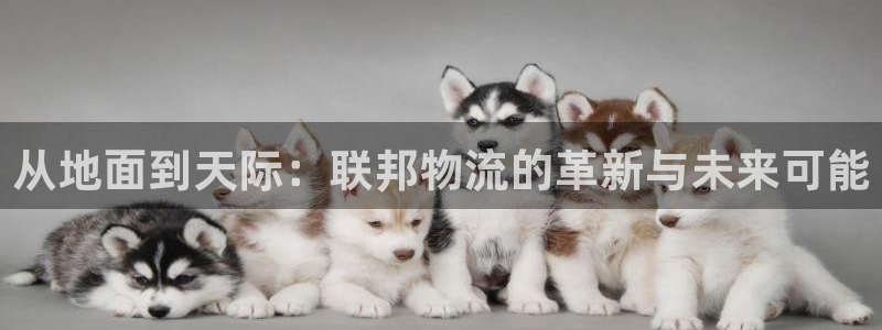 TP钱包noehx是真的吗：从地面到
