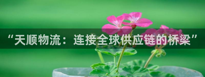 TP钱包签名错误怎么解决：“天顺物流