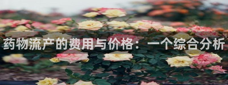 tp钱包 bep20：药物流产的费用