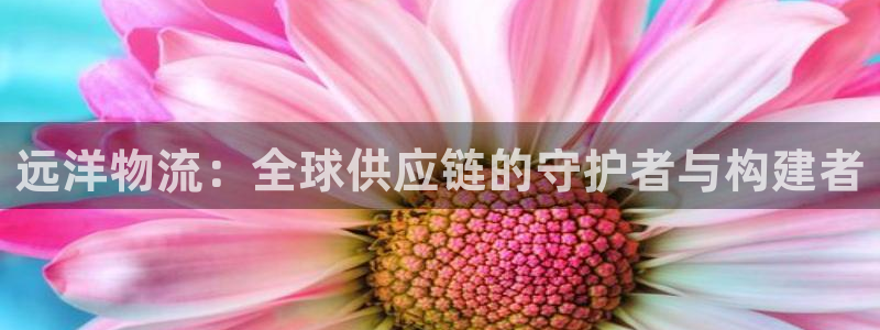 tp钱包观察钱包怎么用：远洋物流：全球供应链的守护者与构建者