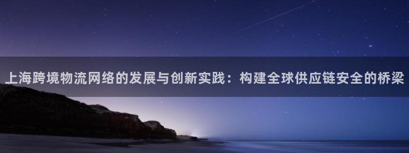 tp钱包密码忘了：上海跨境物流网络的