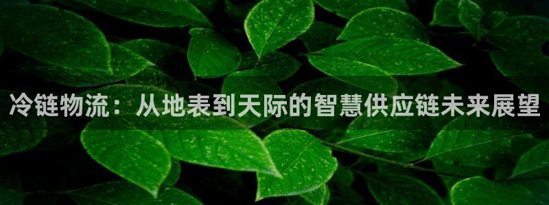 tp钱包打不开了：冷链物流：从地表到