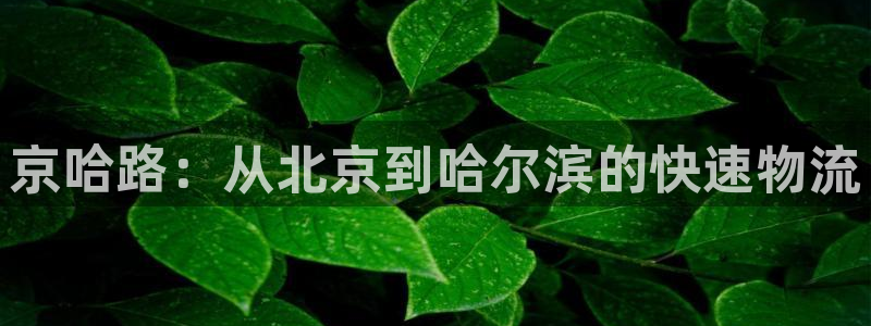 TP钱包官网下载入口：京哈路：从北京