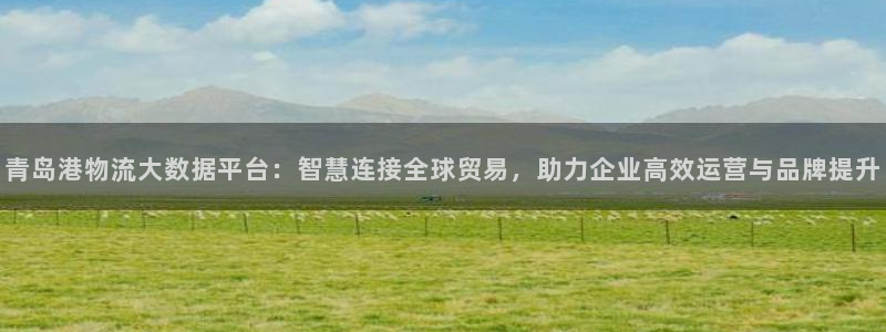 TP钱包切换账号步骤：青岛港物流大数