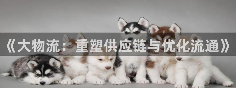 tp钱包的ht怎么转到交易所：《大物