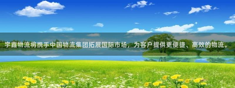 tp钱包下载教程：宇鑫物流将携手中国