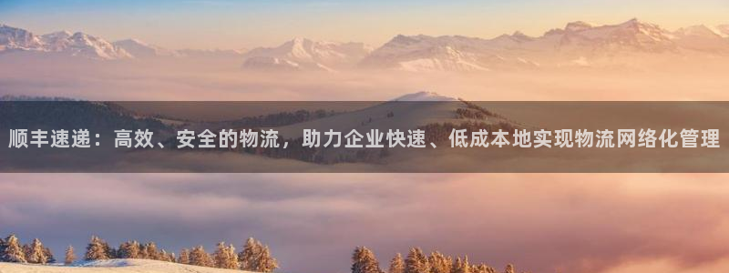 tp数字钱包被盗如何追回：顺丰速递：高效、安全的物流，助力企