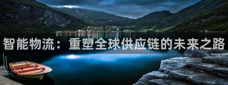 tp 1080p 下载：智能物流：重