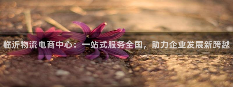 tp钱包被盗的原因：临沂物流电商中心