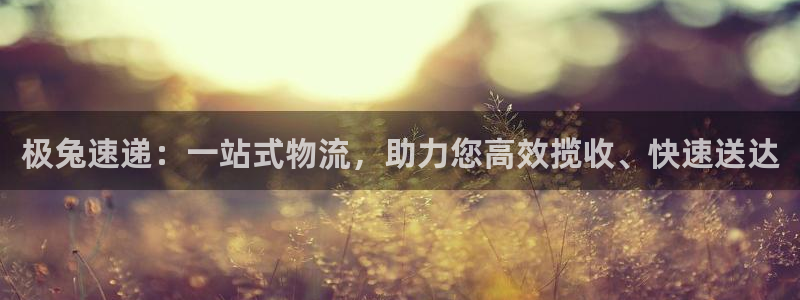 tp钱包怎么把币转到ok交易所：极兔