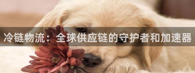 tp钱包选择网络：冷链物流：全球供应