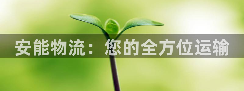 tp钱包创建冷钱包教程：安能物流：您